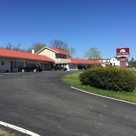 The Gull Motel, Belfast Εξωτερικό φωτογραφία