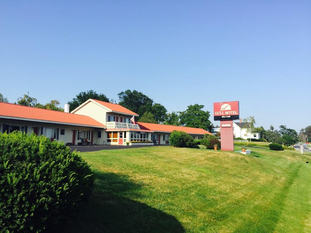 The Gull Motel, Belfast Εξωτερικό φωτογραφία