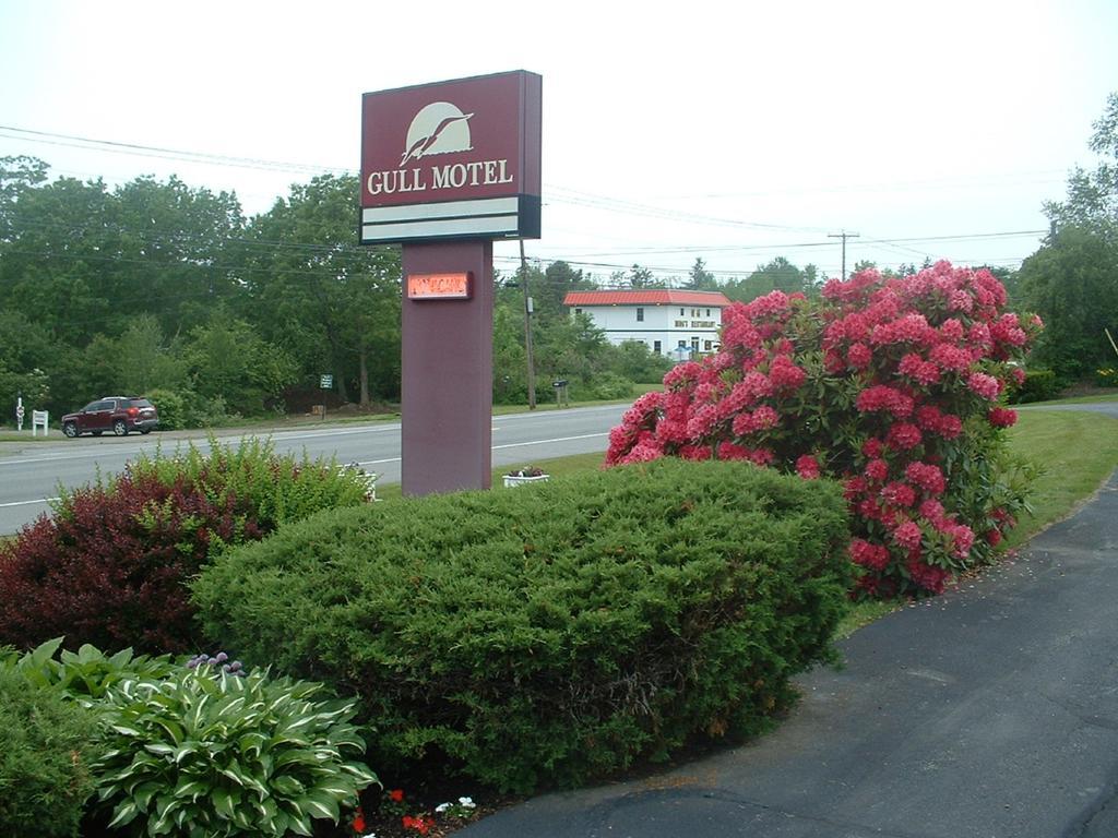 The Gull Motel, Belfast Εξωτερικό φωτογραφία